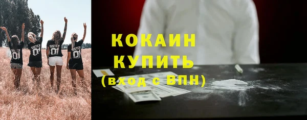 гидра Арсеньев