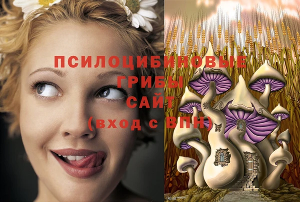 гидра Арсеньев