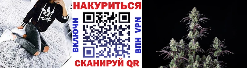 Бошки Шишки ГИДРОПОН  Ахтубинск 